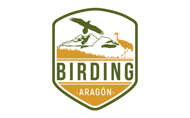 Birding Aragón